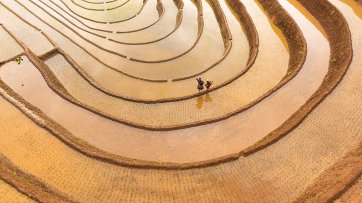 Mu Cang Chai Water Season