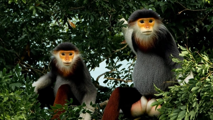 Central Vietnam Photo Tour